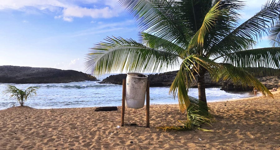 Vista de una playa en Puerto Rico y una palmera junto a la playa