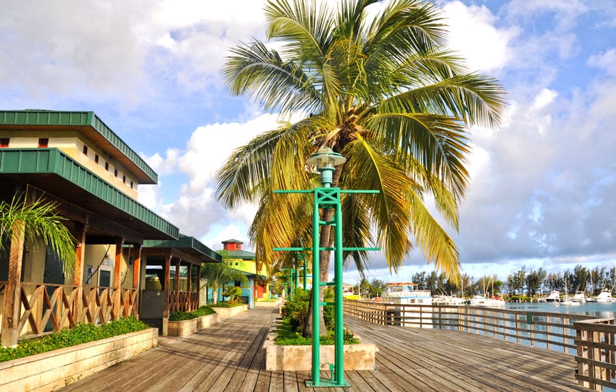 Vista de una palmera en Boardwalk en Ponce