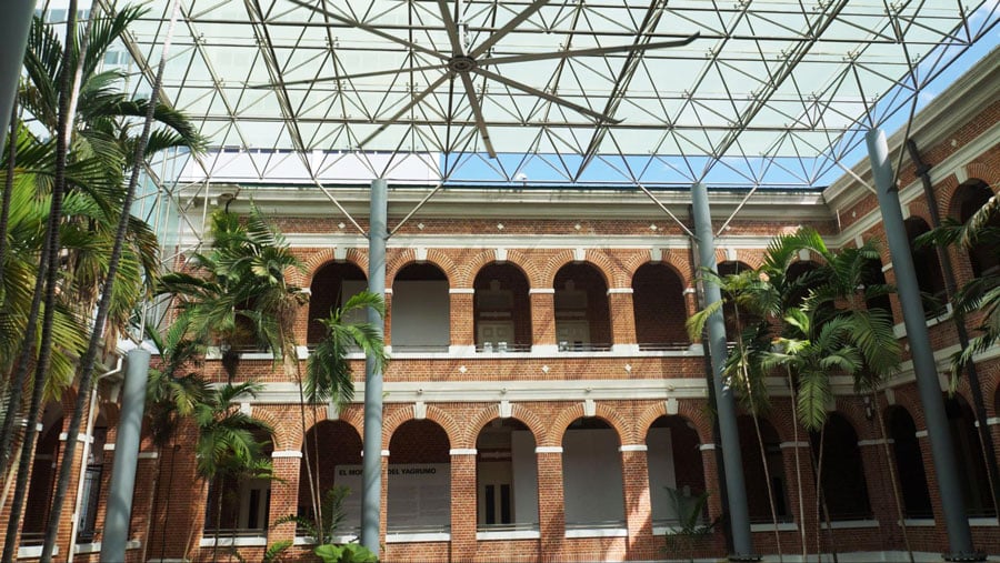 Vista del Museo de Arte ContemporÃ¡neo y algunas palmeras en Ã©l