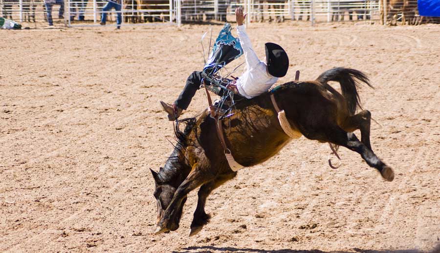 Un vaquero compitiendo en un evento de equitación a pelo en Tucson Rodeo