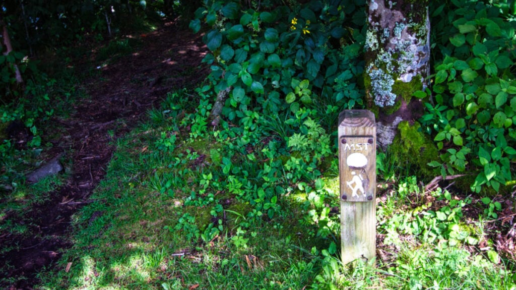 Vista de las señales marcadas en el sendero en Asheville