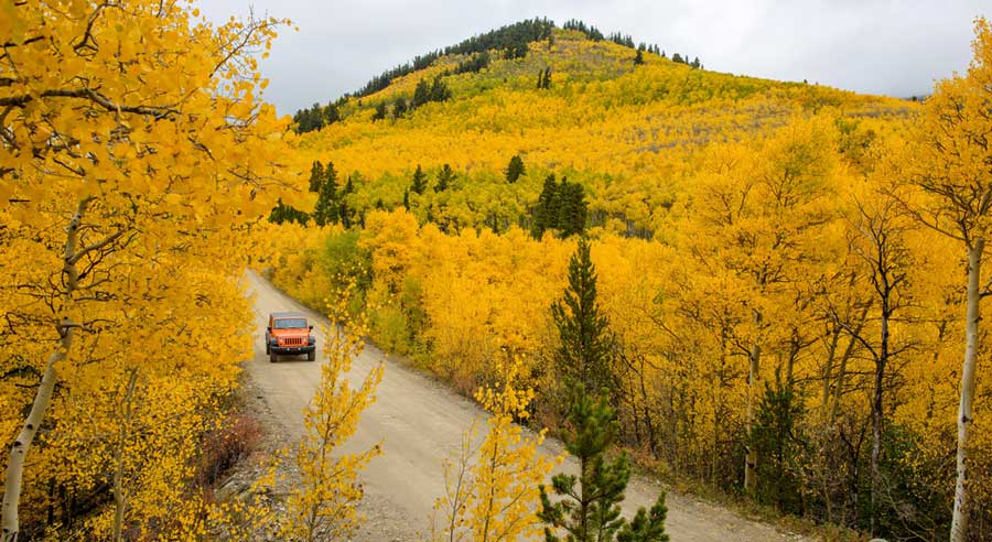 Vista de la montaña amarilla desde Boreas Pass Road
