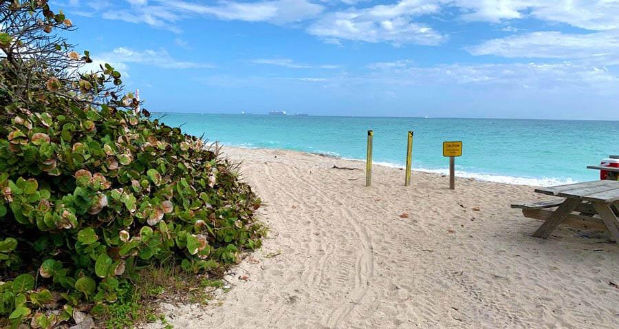 Vista de un camino a Dania Beach en el Parque Estatal Dr. Von D. Mizell-Eula Johnson