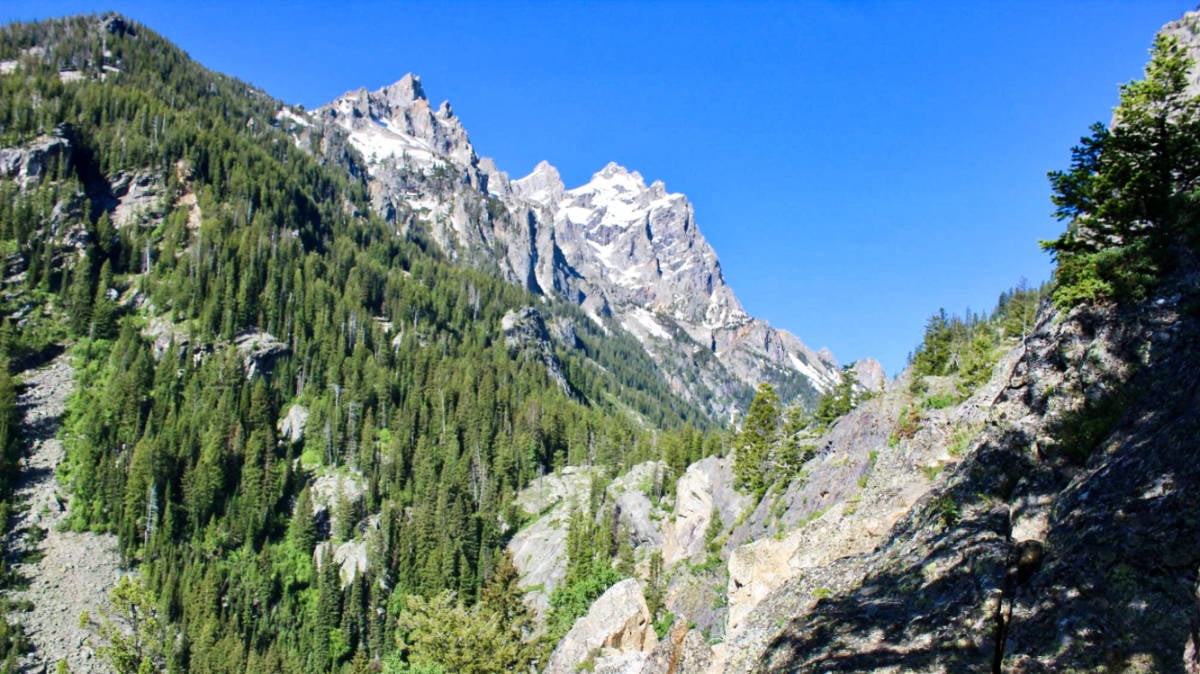 Vista de los picos del Parque Nacional Grand Teton en un día soleado