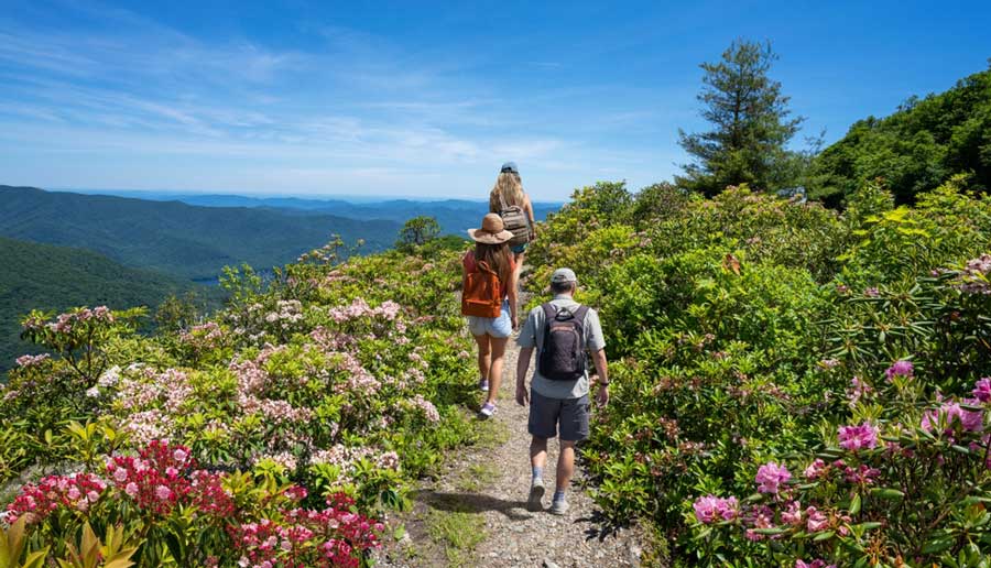 Una familia que va de excursión en Asheville durante el verano