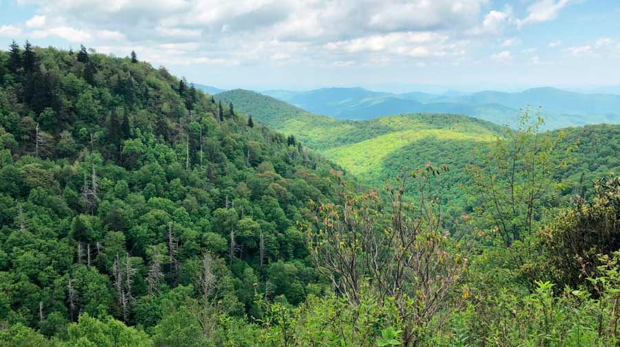 Con vistas a la montaña en Asheville durante el verano