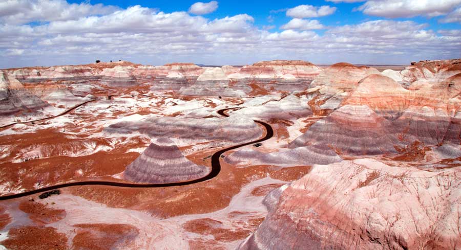 El Parque Nacional del Bosque Petrificado bajo el cielo azul claro