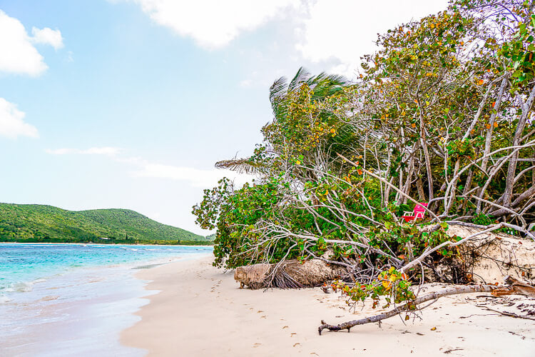 ¡Estos consejos para visitar la isla de Culebra, Puerto Rico te ayudarán a aprovechar al máximo tu viaje!