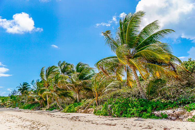 ¡Estos consejos para visitar la isla de Culebra, Puerto Rico te ayudarán a aprovechar al máximo tu viaje!