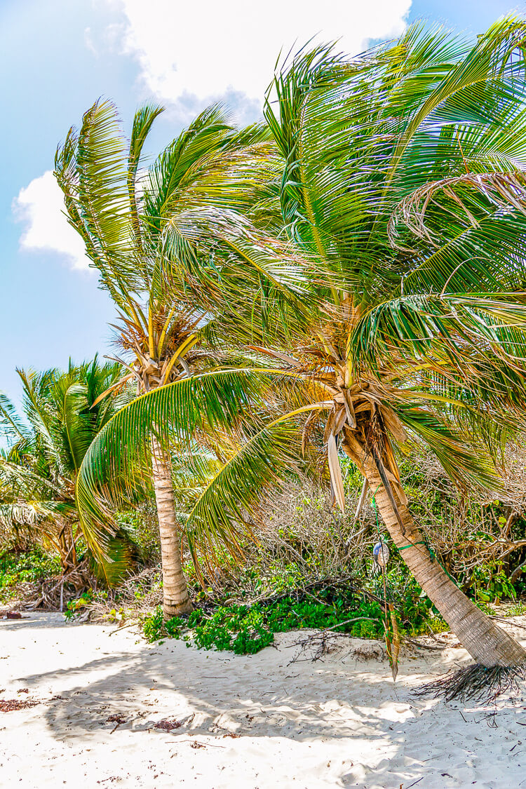 ¡Estos consejos para visitar la isla de Culebra, Puerto Rico te ayudarán a aprovechar al máximo tu viaje!