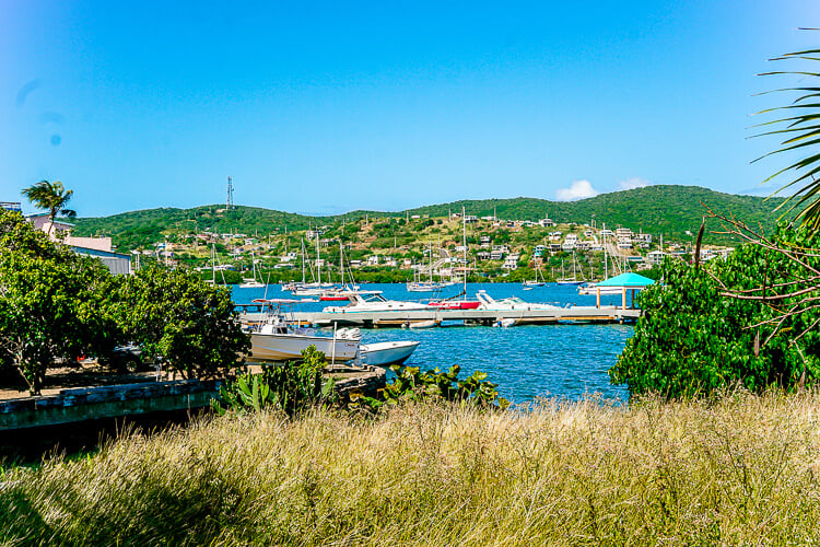 ¡Estos consejos para visitar la isla de Culebra, Puerto Rico te ayudarán a aprovechar al máximo tu viaje!