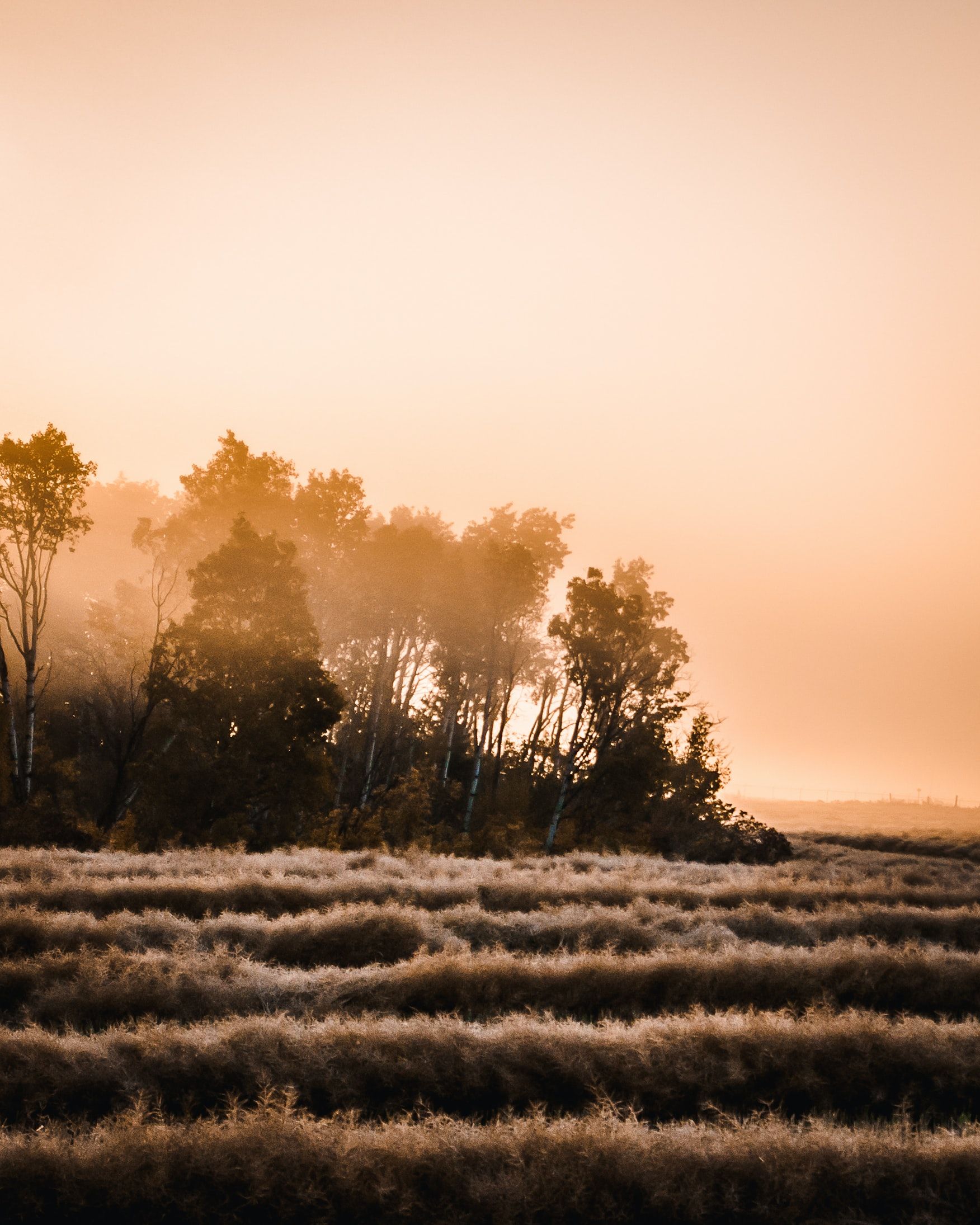 Sexsmith, Canadá