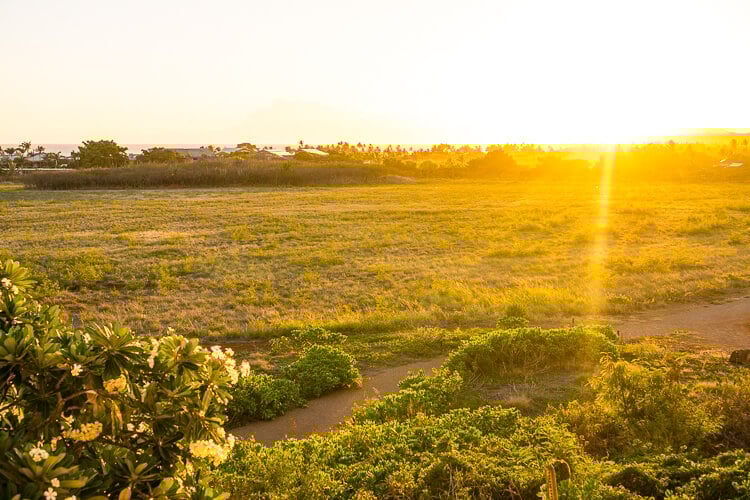 ¿Estás planeando un viaje a Kauai, Hawái?  Estos son los 10 mejores lugares para comer en Kauai, ¡no te los pierdas!